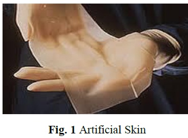 Flexible Electronic Skins